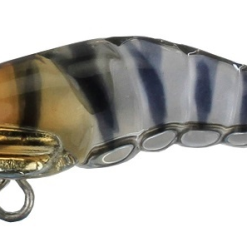 Zipbaits Zoea 49s -Reels Shop 1635304439225blob