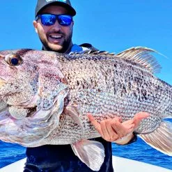 Assassin Spinmaster -Reels Shop 18kgDhuCover