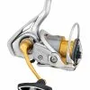 Daiwa Freams 21 LT