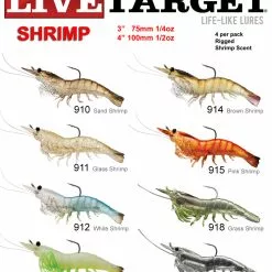 Live Target Shrimp