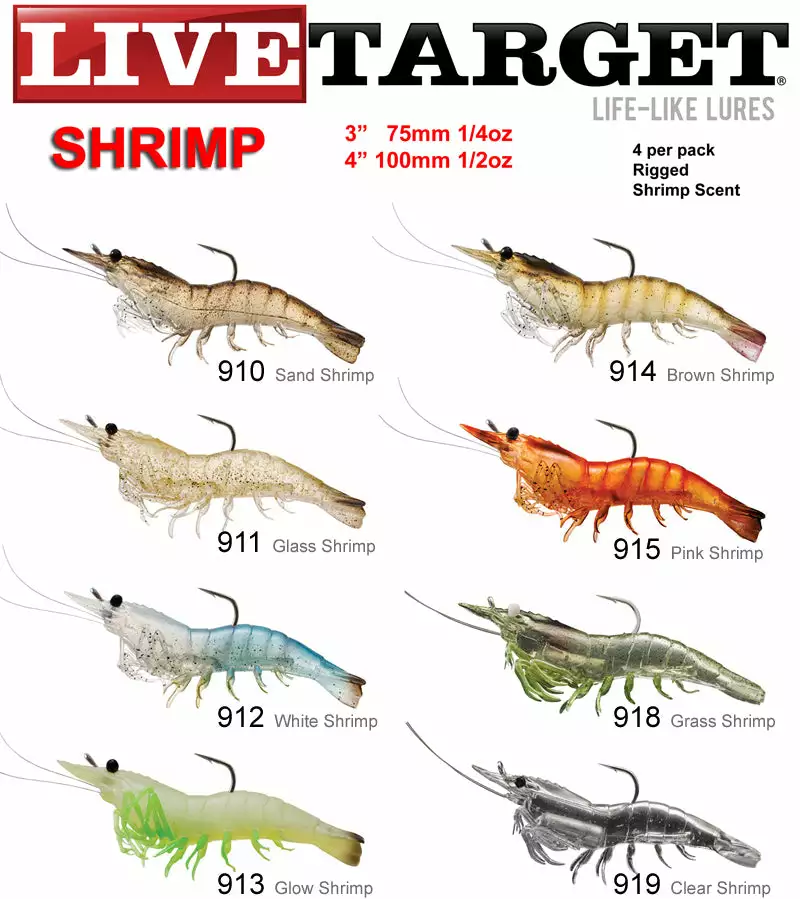 Live Target Shrimp 1 Live Target Shrimp