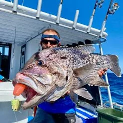 Vexed Cray Lord Head 10 Vexed Cray Lord Head -Reels Shop 87edc7dc cb6d 408e a16c be2ba236a72a cd06064d 705a 464b 9d29 e15330efc4ee