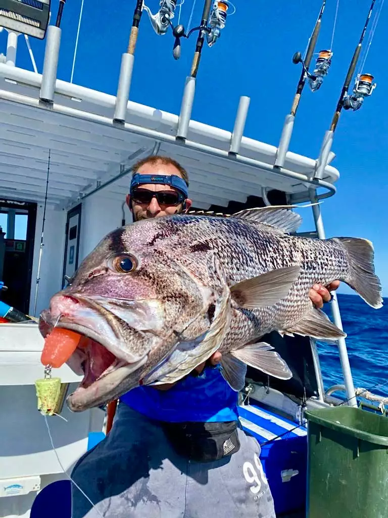 Vexed Cray Lord Head 4 Vexed Cray Lord Head - Image 4