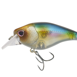 Nomad Design Atlas 55 Square Bill Crank FLT FR 17 Nomad Design Atlas 55 Square Bill Crank FLT FR -Reels Shop ATL55 F NSHD