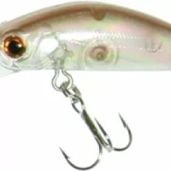 Bassday Sugar Deep 35 8 Bassday Sugar Deep 35 -Reels Shop BassdaySugadeep35TacklewestMB10