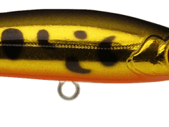 Cranka Deep Minnow 59 -Reels Shop Cranka Minnow Deep Golden Trout