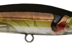 Cranka Deep Minnow 59 -Reels Shop Cranka Minnow Deep Jollytail