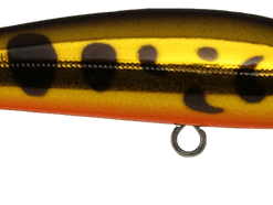 Cranka Shallow Minnow 59