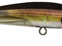 Cranka Shallow Minnow 59 15 Cranka Shallow Minnow 59 -Reels Shop Cranka Minnow JollyTail