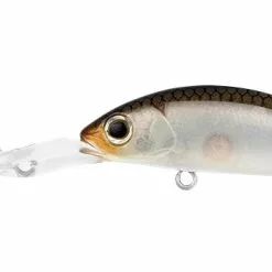 Daiwa Infeet Spike 44EXDR