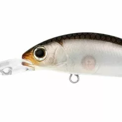 Daiwa Infeet Spike 44MR 22 Daiwa Infeet Spike 44MR -Reels Shop DAIWA FATHOM MR 0000 DAIWA FATHOM MR 13 1080x 30b8c124 cf54 41ee 9dca af5a4ed7a804