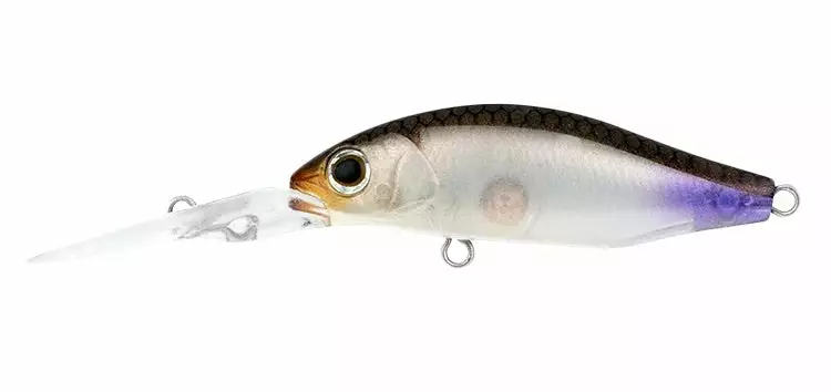 Daiwa Infeet Spike 44MR 11 Daiwa Infeet Spike 44MR - Image 11