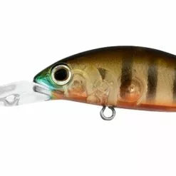 Daiwa Infeet Spike 44MR 20 Daiwa Infeet Spike 44MR -Reels Shop DAIWA FATHOM MR 0011 DAIWA FATHOM MR 2 1080x f45cf3f7 4f74 49cc 8813 617ad51d2952