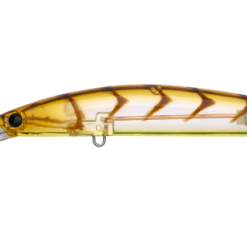 Daiwa Double Clutch 75sp -Reels Shop DAIWADC28 EBI 1080x 667de153 984d 40d4 8c89 a2ade80c5b40