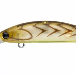 Daiwa Double Clutch 48sp 27 Daiwa Double Clutch 48sp -Reels Shop DAIWADC48 0001s 0010 DAIWA DOUBLE CLUTCH 48 5 1080x a412a3fc f575 4287 bef7 0ab100e4690f