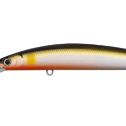 Daiwa Double Clutch 75sp -Reels Shop DAIWADC9 rustyayu 1080x 80cef3ea 5687 4632 8973 2a79a119bb5b