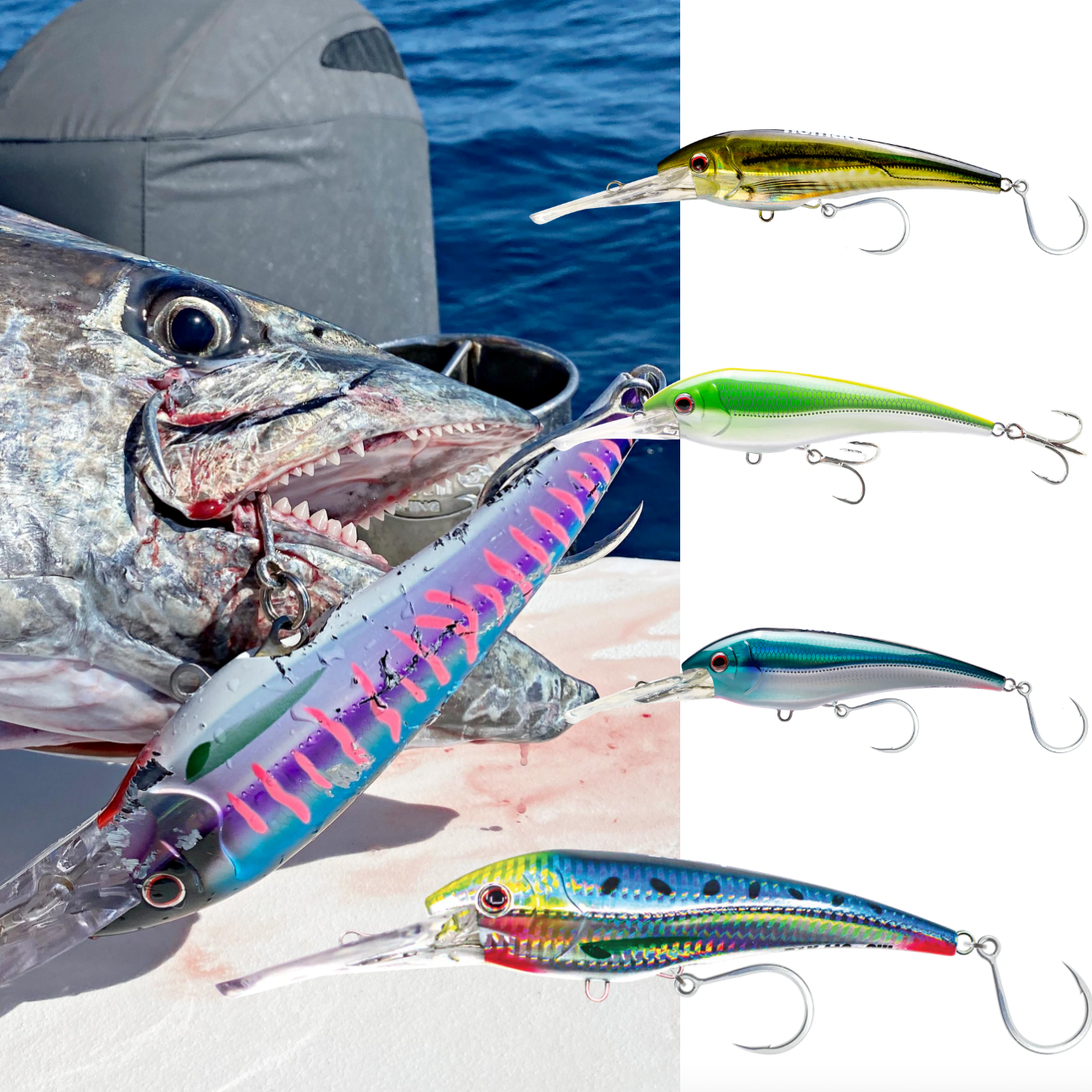 Nomad DTX Bundle 1 Nomad DTX Bundle