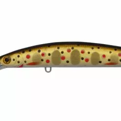 Daiwa Double Clutch 60sp 34 Daiwa Double Clutch 60sp -Reels Shop DaiwaDoubleClutch60BrownTrout