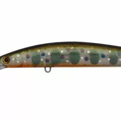 Daiwa Double Clutch 75sp -Reels Shop DaiwaDoubleClutch75BrookeTrout