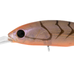 Daiwa Infeet Spike 53sp