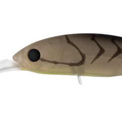 Daiwa Infeet Spike 53sp 17 Daiwa Infeet Spike 53sp -Reels Shop DaiwaInfeertSpike53SPMattePrawn