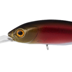 Daiwa Infeet Spike 53sp 20 Daiwa Infeet Spike 53sp -Reels Shop DaiwaInfeertSpike53SPSheerred