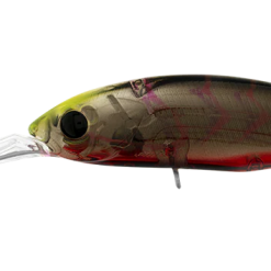 Daiwa Infeet Spike 53sp 21 Daiwa Infeet Spike 53sp -Reels Shop DaiwaInfeertSpike53SPSujiBerry