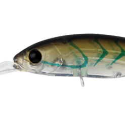 Daiwa Infeet Spike 53sp 22 Daiwa Infeet Spike 53sp -Reels Shop DaiwaInfeertSpike53SPSujiPrawn