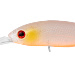 Daiwa Infeet Spike 53sp 23 Daiwa Infeet Spike 53sp -Reels Shop DaiwaInfeertSpike53SPTakasagi