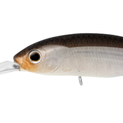 Daiwa Infeet Spike 53sp 24 Daiwa Infeet Spike 53sp -Reels Shop DaiwaInfeertSpike53SPWakasagi