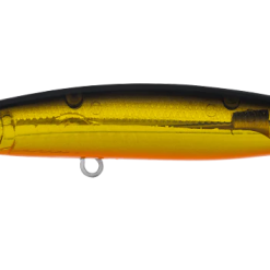 Daiwa Infeet Sazanami 60SP