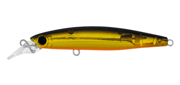 Daiwa Infeet Sazanami 60SP 1 Daiwa Infeet Sazanami 60SP