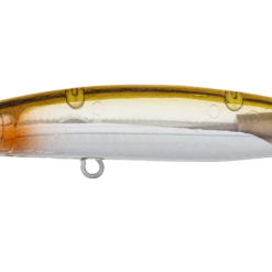 Daiwa Infeet Sazanami 60SP 14 Daiwa Infeet Sazanami 60SP -Reels Shop DaiwaInfeetSazanamiAdelRiceFish