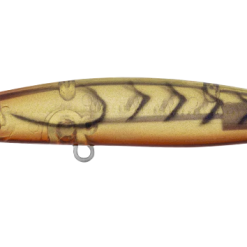 Daiwa Infeet Sazanami 60SP 17 Daiwa Infeet Sazanami 60SP -Reels Shop DaiwaInfeetSazanamiBrownSuji