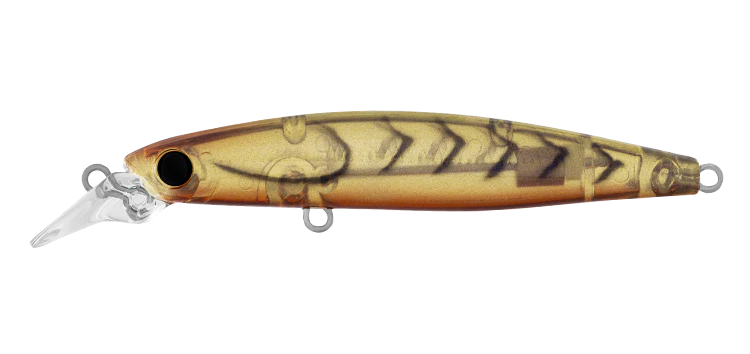 Daiwa Infeet Sazanami 60SP 7 Daiwa Infeet Sazanami 60SP - Image 7