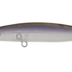 Daiwa Infeet Sazanami 60SP 19 Daiwa Infeet Sazanami 60SP -Reels Shop DaiwaInfeetSazanamiGhostWakasagi