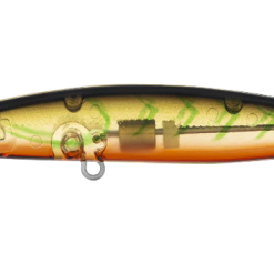 Daiwa Infeet Sazanami 60SP 21 Daiwa Infeet Sazanami 60SP -Reels Shop DaiwaInfeetSazanamiRiskySuji