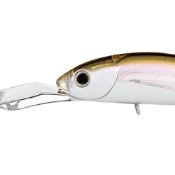 Daiwa Infeet Spike 53EXDR 10 Daiwa Infeet Spike 53EXDR -Reels Shop DaiwaInfeetSpike53EXDRChromeBelly