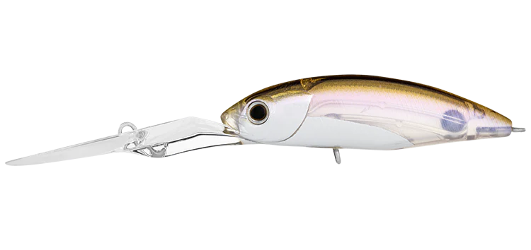 Daiwa Infeet Spike 53EXDR 3 Daiwa Infeet Spike 53EXDR - Image 3