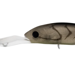 Daiwa Infeet Spike 53EXDR 11 Daiwa Infeet Spike 53EXDR -Reels Shop DaiwaInfeetSpike53EXDRMattePrawn