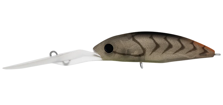 Daiwa Infeet Spike 53EXDR 4 Daiwa Infeet Spike 53EXDR - Image 4