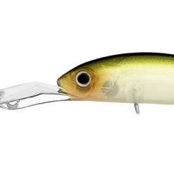 Daiwa Infeet Spike 53EXDR 12 Daiwa Infeet Spike 53EXDR -Reels Shop DaiwaInfeetSpike53EXDRNaturalGhostAyu