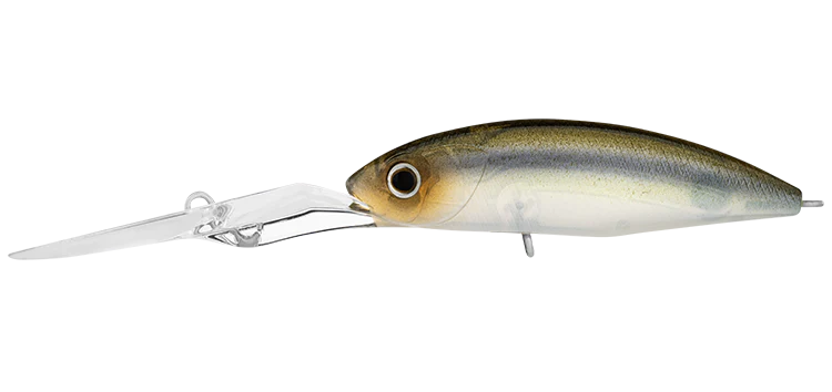 Daiwa Infeet Spike 53EXDR 6 Daiwa Infeet Spike 53EXDR - Image 6