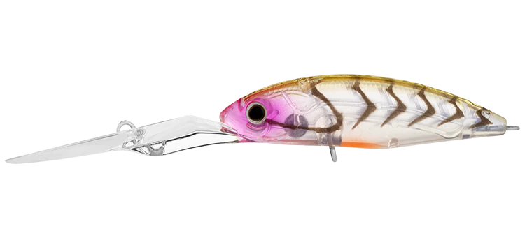 Daiwa Infeet Spike 53EXDR 8 Daiwa Infeet Spike 53EXDR - Image 8