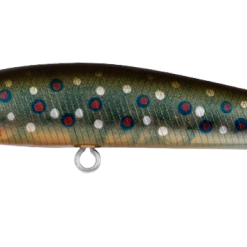 Daiwa Presso Minnow 60F 15 Daiwa Presso Minnow 60F -Reels Shop DaiwaPressoBrookTrout