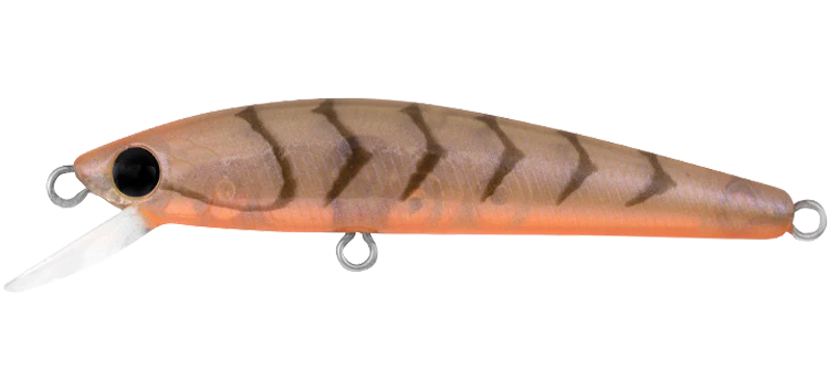 Daiwa Presso Minnow 60F 2 Daiwa Presso Minnow 60F - Image 2