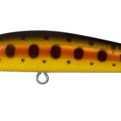 Daiwa Presso Minnow 60F 25 Daiwa Presso Minnow 60F -Reels Shop DaiwaPressoGoldenTrout