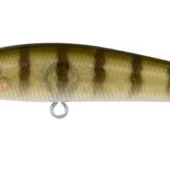 Daiwa Presso Minnow 60F 23 Daiwa Presso Minnow 60F -Reels Shop DaiwaPressoSunnyGill