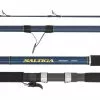 Daiwa 21 SALTIGA SURF