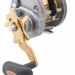 Daiwa Saltist Levelwind